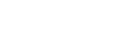 Falcon IT Development Logo
